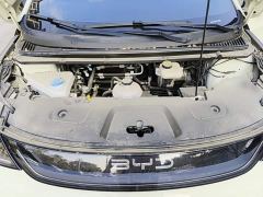 BYD Dolphin Smart Drive 420km Freedom Edition - photo 19