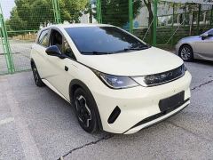 BYD Dolphin Smart Drive 420km Freedom Edition - photo 3
