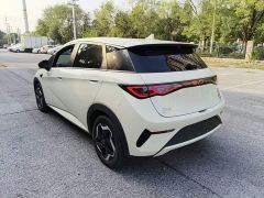BYD Dolphin Smart Drive 420km Freedom Edition - photo 4