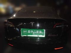 Tesla Model 3 Rear-Wheel Drive - ფოტო 3