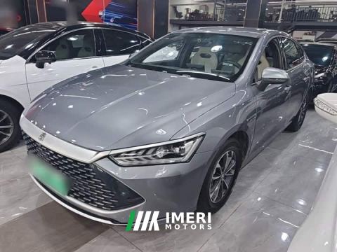 2024 BYD Qin PLUS Glory Edition DM-i 55KM Leading