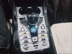 BYD Qin PLUS Glory Edition DM-i 55KM Leading - photo 13