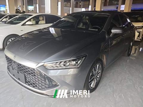2023 BYD Qin PLUS Champion Edition DM-i 120KM Leading