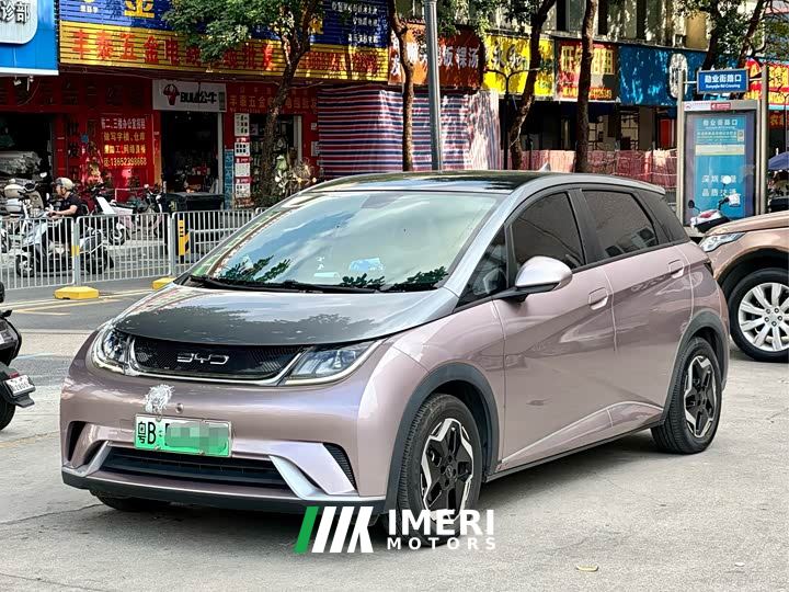 BYD Dolphin 405km Fashion Edition - ავტომობილი ჩინეთიდან