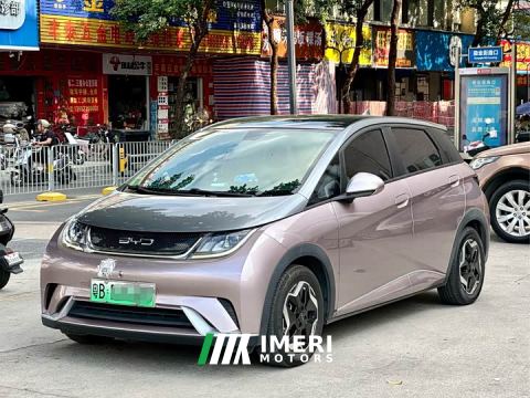 2022 BYD Dolphin 405km Fashion Edition - ავტომობილი ჩინეთიდან
