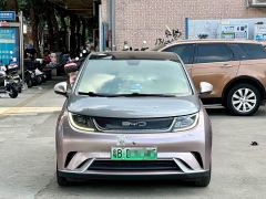 BYD Dolphin 405km Fashion Edition - ფოტო 2