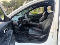 Trumpchi Yingbao 270T DCT J16 - photo 16