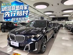 BMW X5 xDrive 30Li M Sport Luxury Night Edition Package - фото 1