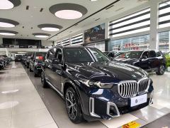 BMW X5 xDrive 30Li M Sport Luxury Night Edition Package - фото 3