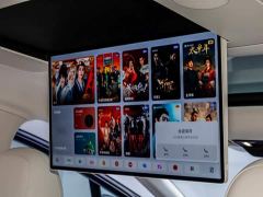 Li Auto i8 Standard Edition - photo 20
