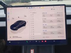 Tesla Model 3 Rear-Wheel Drive - ფოტო 8