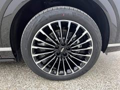 Great Wall WEY Blue Mountain Intelligent Advanced Edition Four-Wheel Drive Max - ფოტო 16