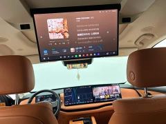 Great Wall WEY Blue Mountain Intelligent Advanced Edition Four-Wheel Drive Max - ფოტო 8