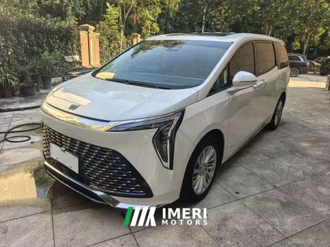 2023 Buick Century 2.0T Seven-Seater Yun Shi Edition - автомобиль из Китая