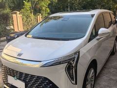 Buick Century 2.0T Seven-Seater Yun Shi Edition - photo 2