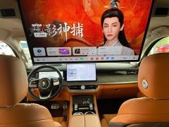 Tank 500 New Energy Hi4-T Smart Comfort Edition - photo 8