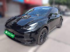 Tesla Model Y Standard Range RWD - ფოტო 1