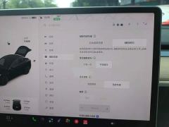 Tesla Model Y Standard Range RWD - ფოტო 20
