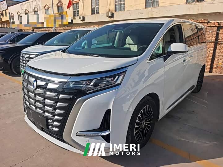 Denza D9 DM-i 965 Premium Edition