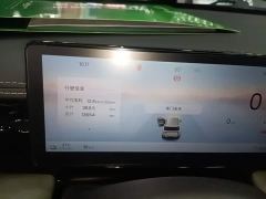 Baojun Yueye Plus 301km Flagship Edition - ფოტო 11