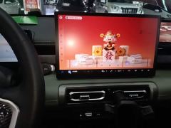 Baojun Yueye Plus 301km Flagship Edition - ფოტო 12