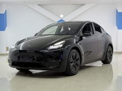 Tesla Model Y Long Range All-Wheel Drive - ფოტო 1