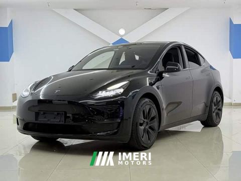 2024 Tesla Model Y Long Range All-Wheel Drive - ავტომობილი ჩინეთიდან