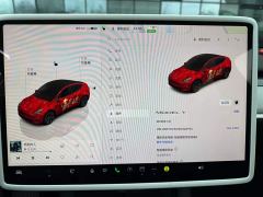 Tesla Model Y Rear-Wheel Drive - ფოტო 6