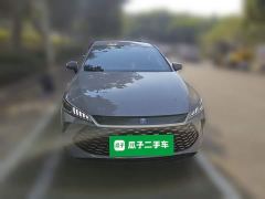 BYD Qin Plus DM-i 210KM Entry-Level - ფოტო 2