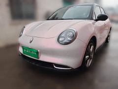 ORA Good Cat 400km Standard Range Athena Edition LFP Battery - ფოტო 1