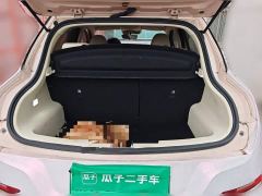ORA Good Cat 400km Standard Range Athena Edition LFP Battery - ფოტო 9