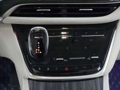 Buick GL8 Land Business Class Comfort Edition - photo 13