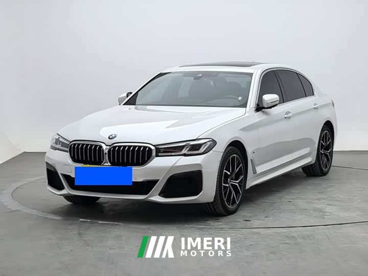 BMW 5 Series 530Li Luxury M Sport Package - автомобиль из Китая