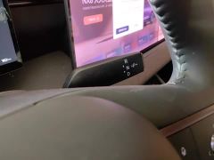Nissan NX8 Pure Electric 650 Max - ფოტო 16