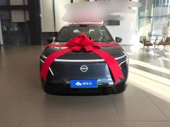 Nissan NX8 Pure Electric 650 Max - ფოტო 2