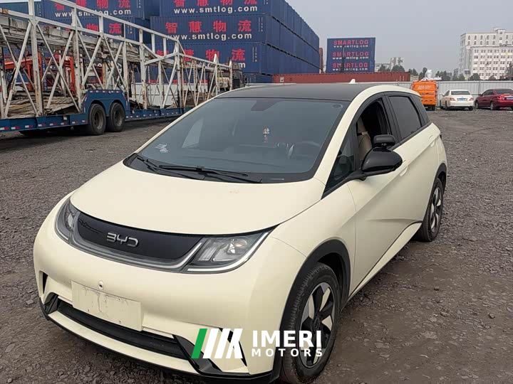 BYD Dolphin Glory Edition 420km Fashion Version - car from China