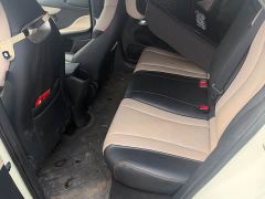 BYD Dolphin Glory Edition 420km Fashion Version - photo 5