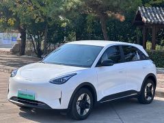 Geely Xing Yuan 310km Dream Edition - ფოტო 1