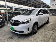 Buick GL8 Land Executive Cabin 652T Luxury - фото 1
