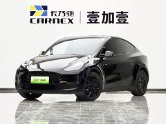 Tesla Model Y Long Range All-Wheel Drive - photo 1