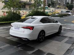 Skoda Octavia PRO TSI280 Luxury Edition - фото 5