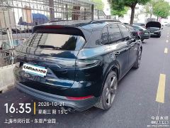 Porsche Cayenne 3.0T Platinum Edition - ფოტო 2