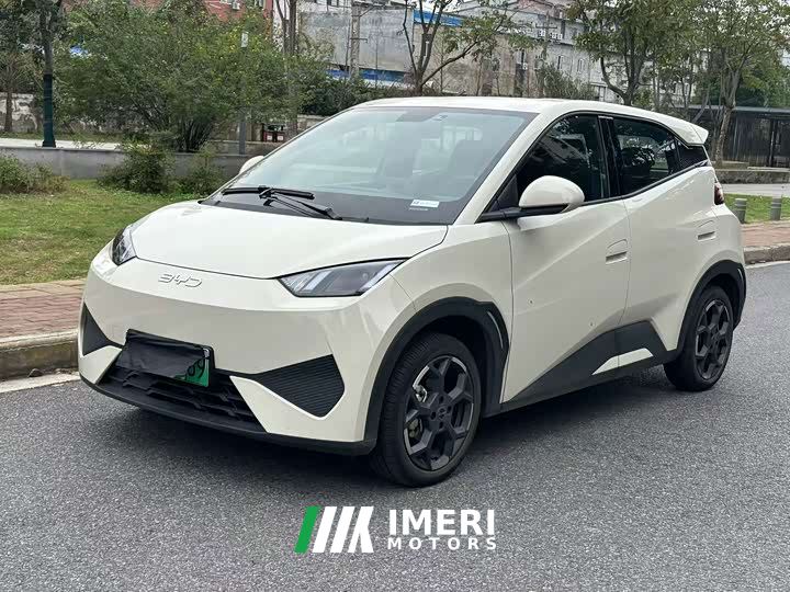 BYD Seagull 405km Carefree Edition