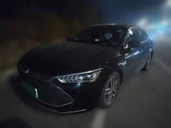 BYD Qin Plus DM-i 55KM Flagship - ფოტო 1