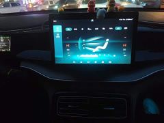 BYD Qin Plus DM-i 55KM Flagship - ფოტო 14