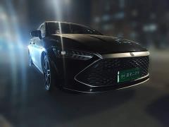 BYD Qin Plus DM-i 55KM Flagship - ფოტო 3