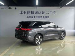 BYD Tang L DM 200KM AWD Lidar Flagship - photo 4