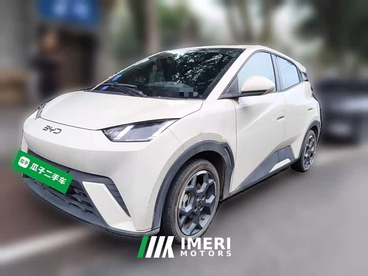 BYD Seagull 305km Freedom Edition - ავტომობილი ჩინეთიდან