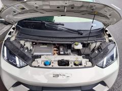BYD Seagull 305km Freedom Edition - ფოტო 16