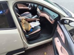 BYD Seagull 305km Freedom Edition - ფოტო 19